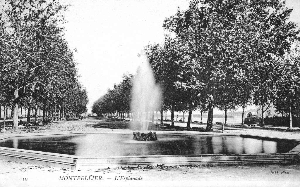 Archives de Montpellier, 6Fi535