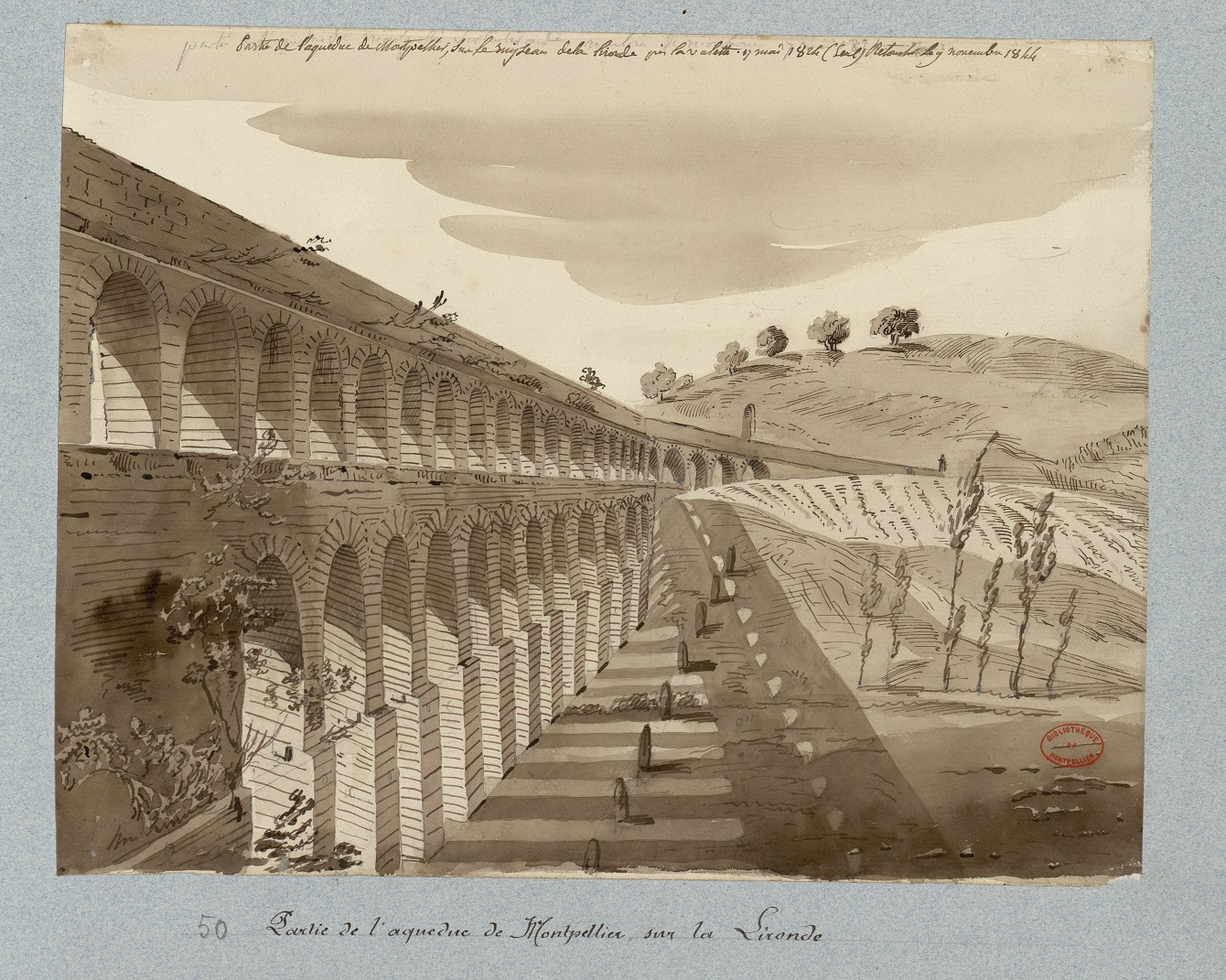 Médiathèques Montpellier 3M, Amelin vol40