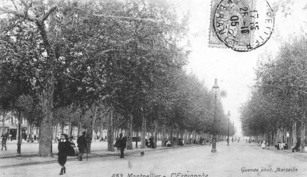 Archives de Montpellier 6fi543