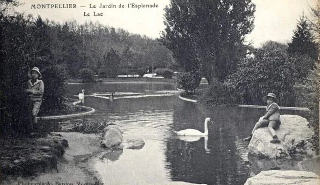 Archives de Montpellier 6fi741