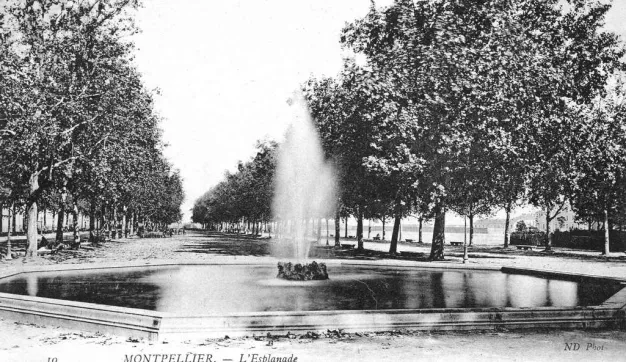 Archives de Montpellier 6fi535